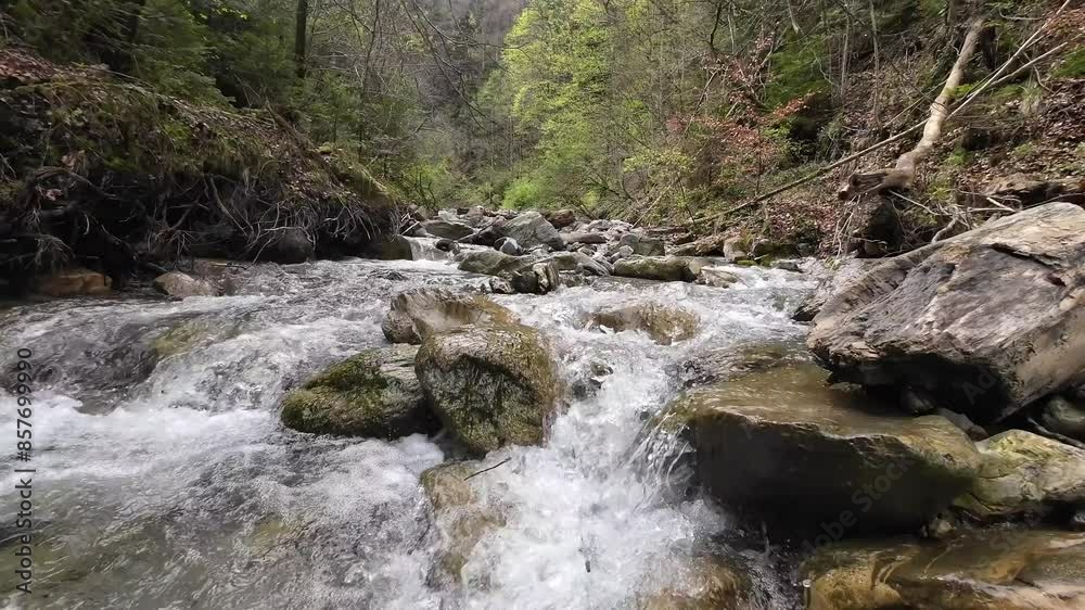 Action cam Rise up from River with Crystal Clear Water in Austria, Europe Action cam Rise up from River with Crystal Clear Water in Austria, Europe
