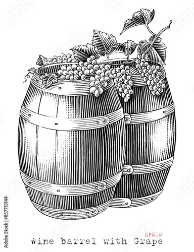 Wine barrels with grape hand drawing vintage style black and white clip art