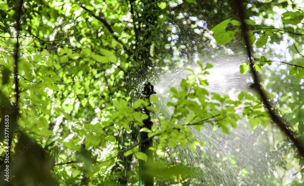 Fototapeta premium Sprinkler with water
