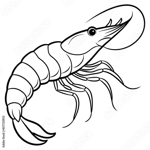 Obraz na płótnie illustration of a shrimp w salonie