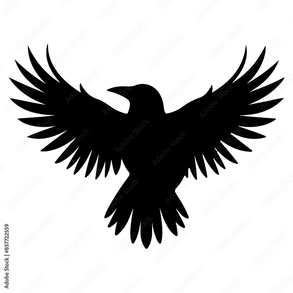 Fototapeta premium Bird Silhouette 