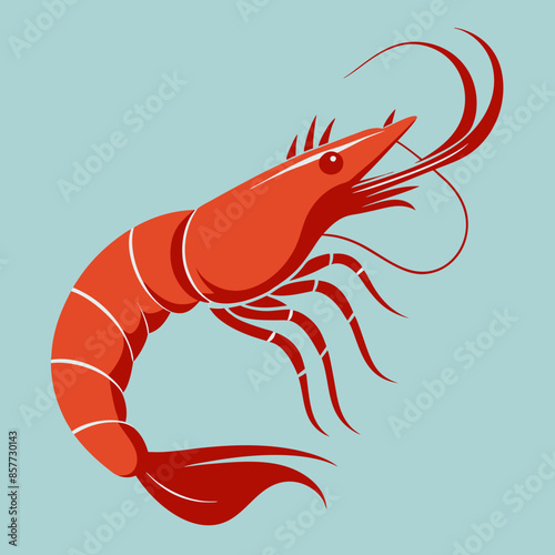 illustration of a shrimp