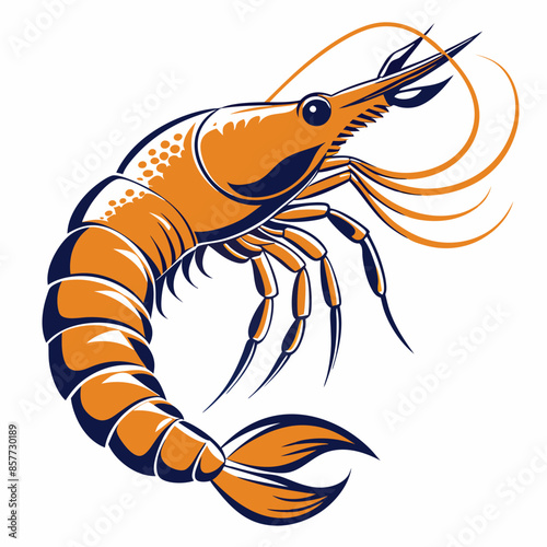 illustration of a shrimp