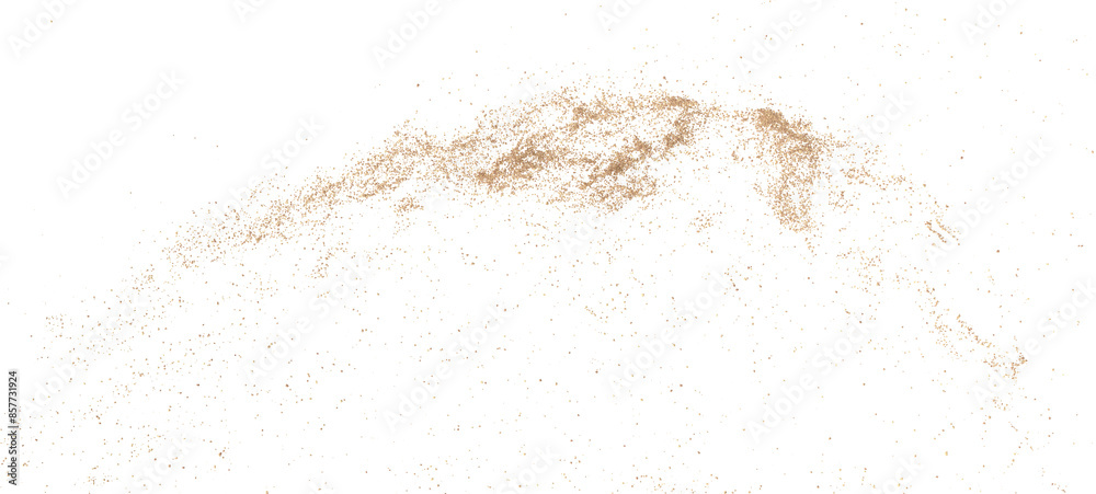 3D rendering of scattered sand granules or fine dirt on transparent background 3D rendering of scattered sand granules or fine dirt on transparent background