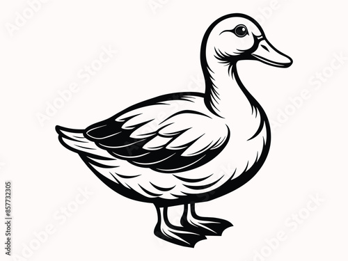 a-duck--white-background-only-3-colors--silhouette.eps