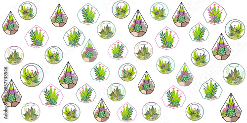 Set of Glass Florarium Vases with Succulent Plants, Small Gardens with Miniature Succulent. Floral terrarium. Home Indoor Diy Containers of Geometric Shapes for Growing Flowers. Cartoon Vector