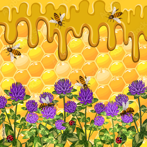 Blooming clover and honeycombs.Vector illustration with blooming clover, bees and ladybugs on the background of honeycombs.