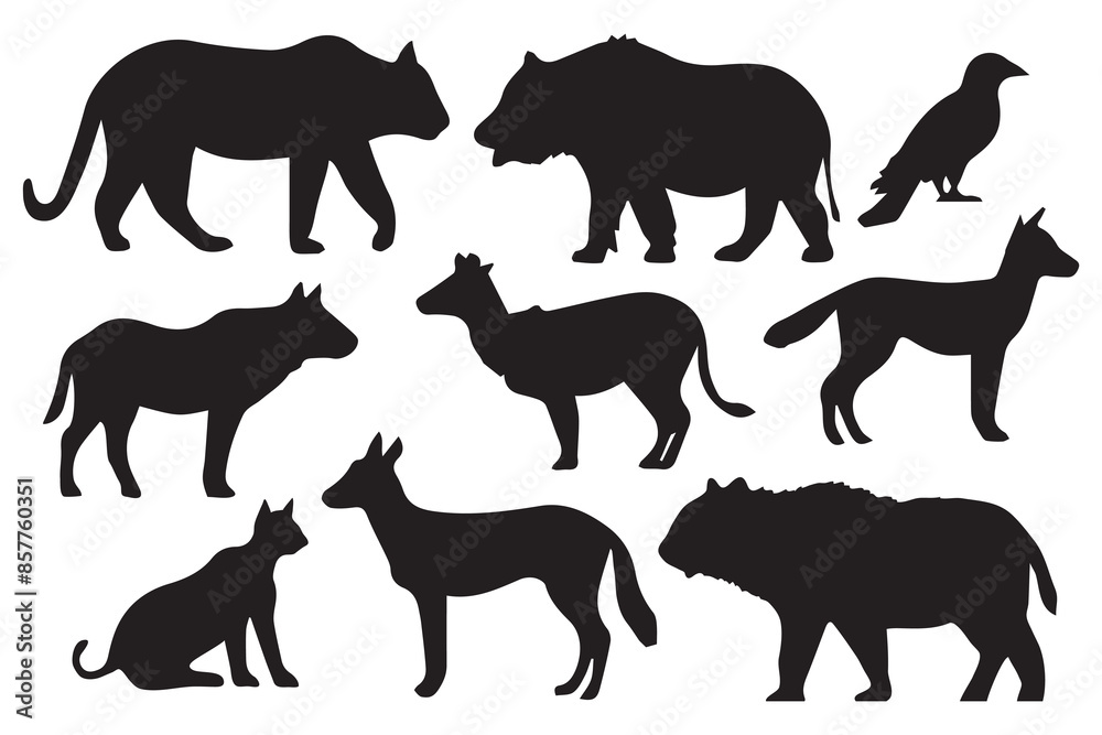 Fototapeta premium Animal silhouette collections . Vector illustration