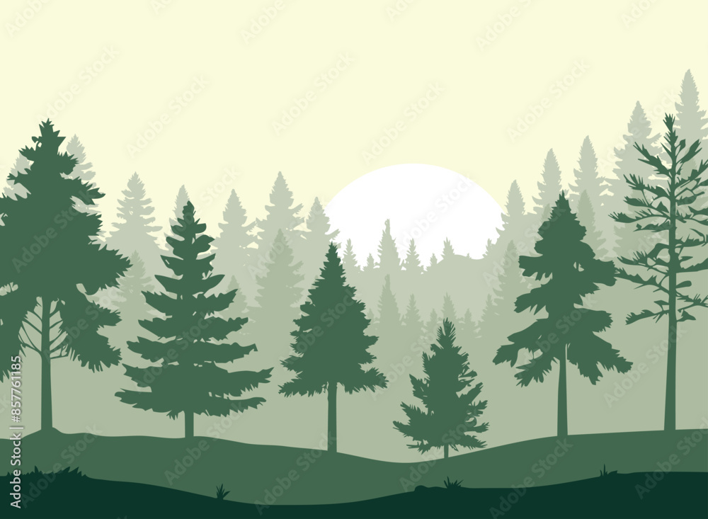 Fototapeta premium Illustration of green silhouette pine trees in forest.