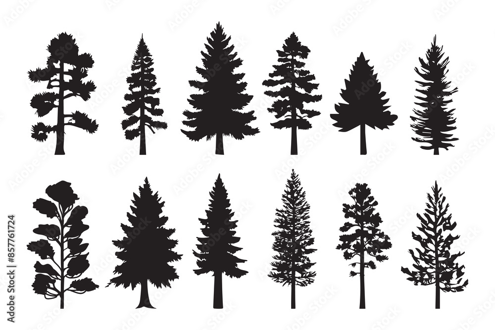 Obraz premium Silhouette pines trees collections. Abstract vector