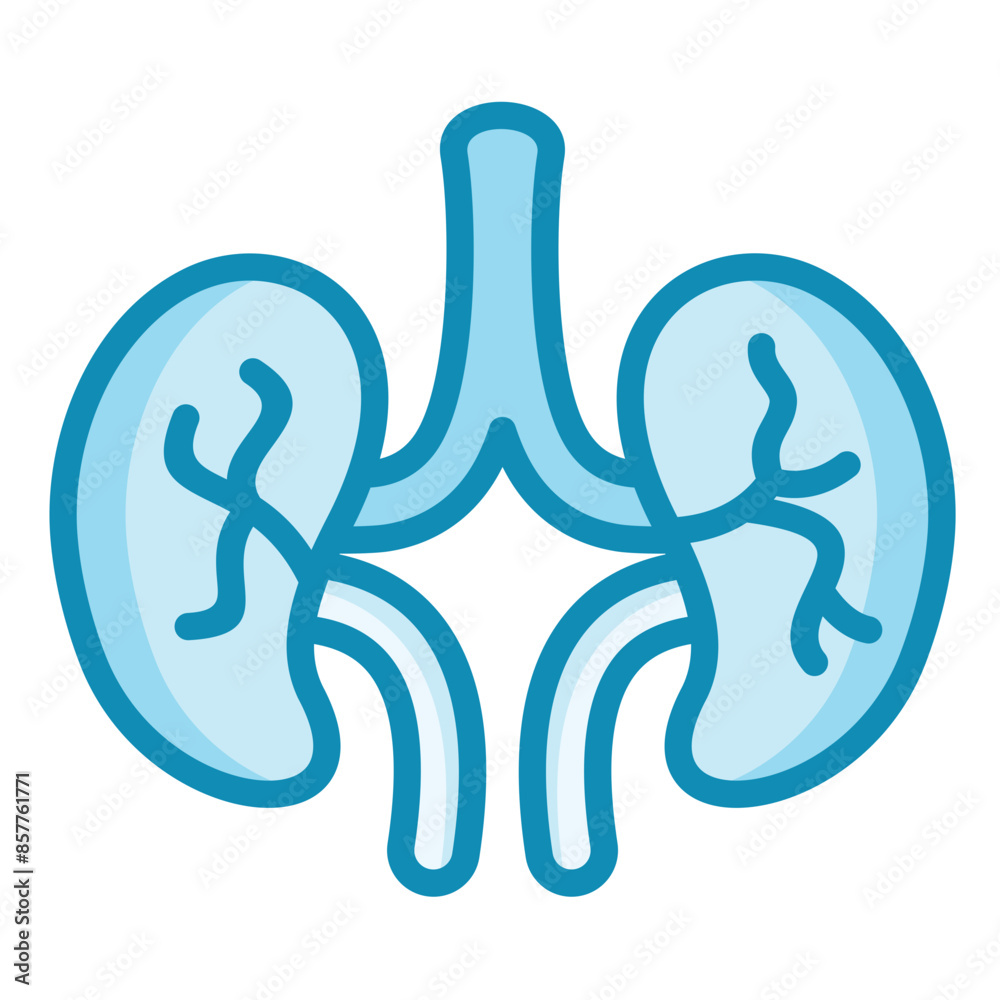 Naklejka premium Kidney Icon