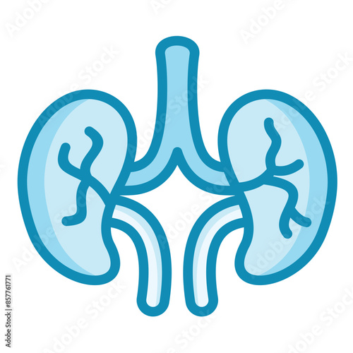 Kidney Icon