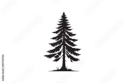 Minimalist Pine Tree Silhouette: Vector Illustration