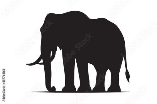 Sophisticated Elephant Silhouette Artwork