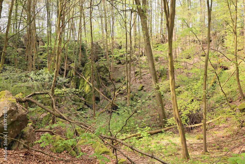 Blick auf das Felsenmeer in Hemer im Sauerland Blick auf das Felsenmeer in Hemer im Sauerland