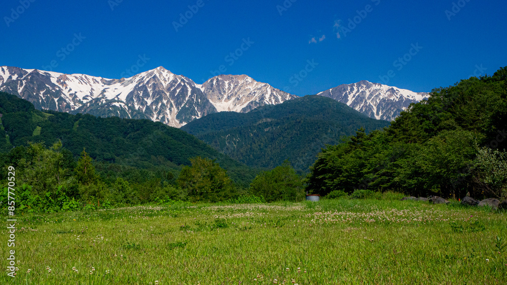 Obraz premium 新緑と残雪の北アルプス 白馬三山