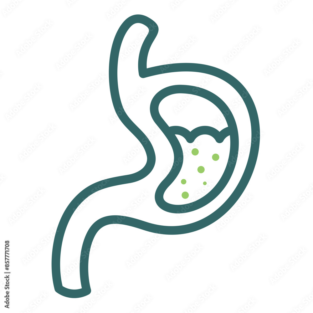 Stomach Icon Stomach Icon