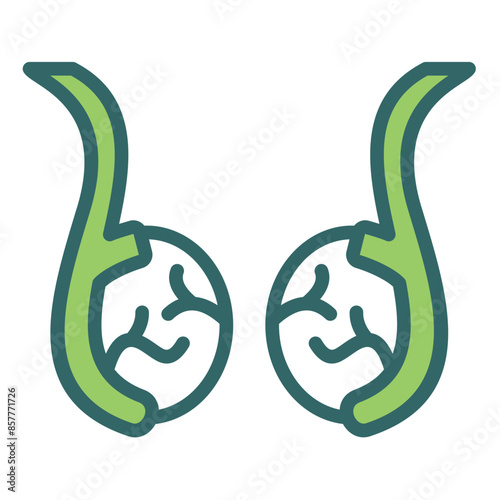 Testis Icon