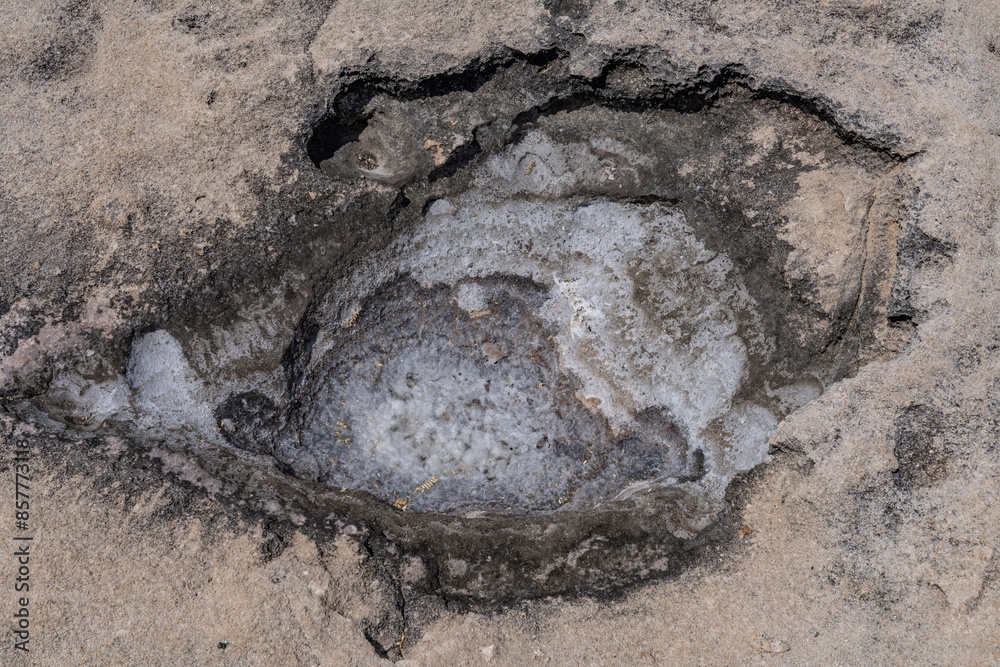 Naklejka premium Ko Olina Beach Park, Leeward Coast of Oahu, Honolulu, Hawaii geology. Beachrock is a friable to well-cemented sedimentary rock. Salt weathering Tafoni 