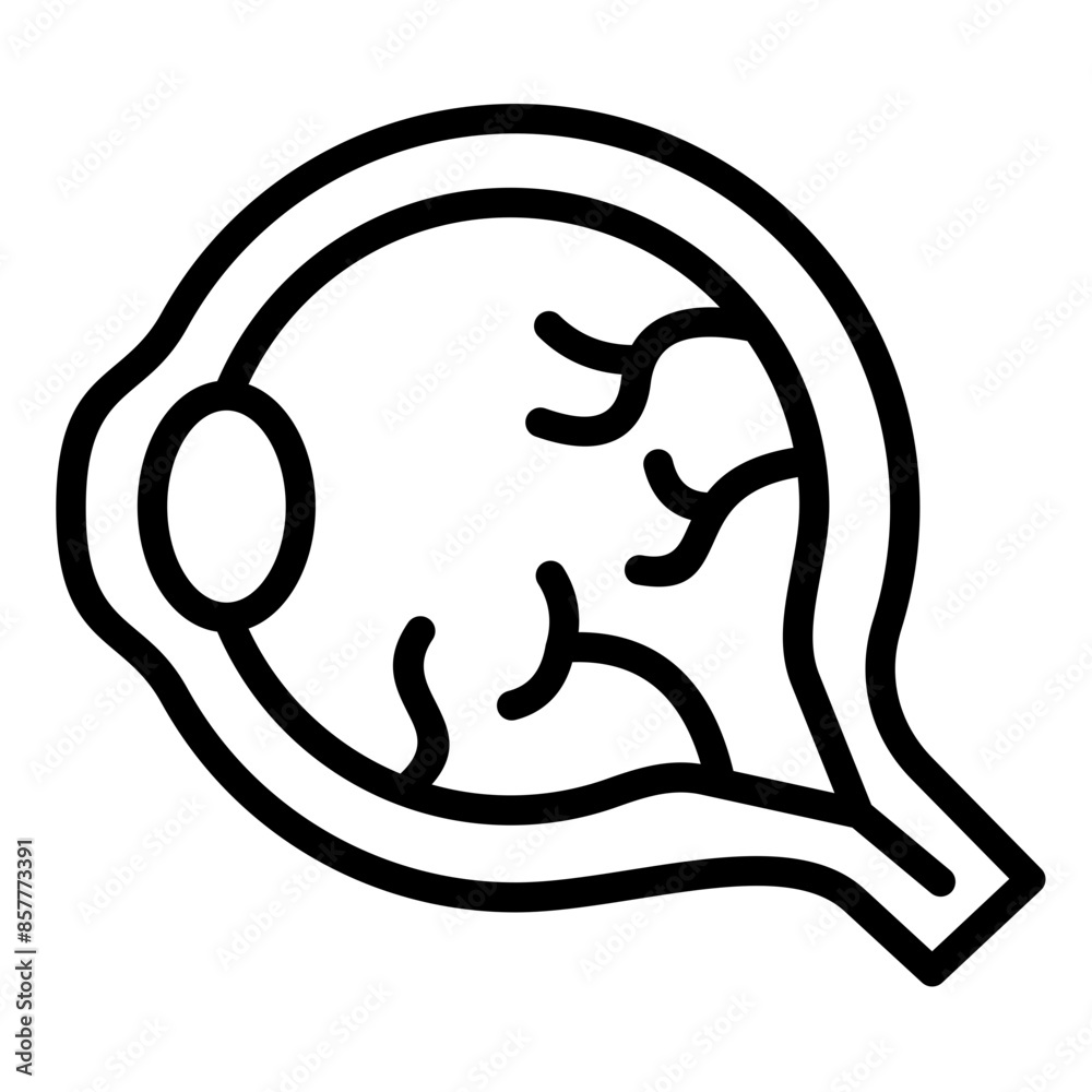 Retina Icon