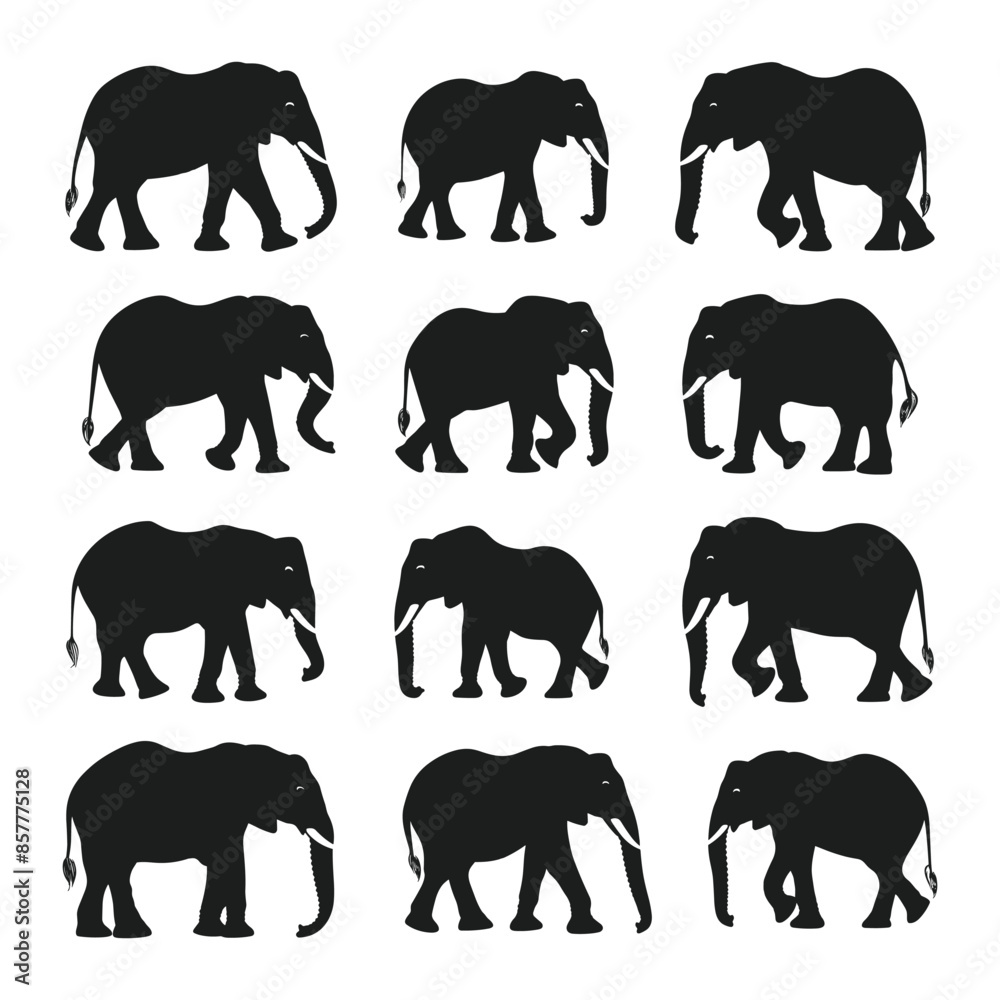 A set of elephant silhouette vector A set of elephant silhouette vector