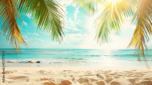 Tropical summer sand beach and palm on sea sky background, copy space