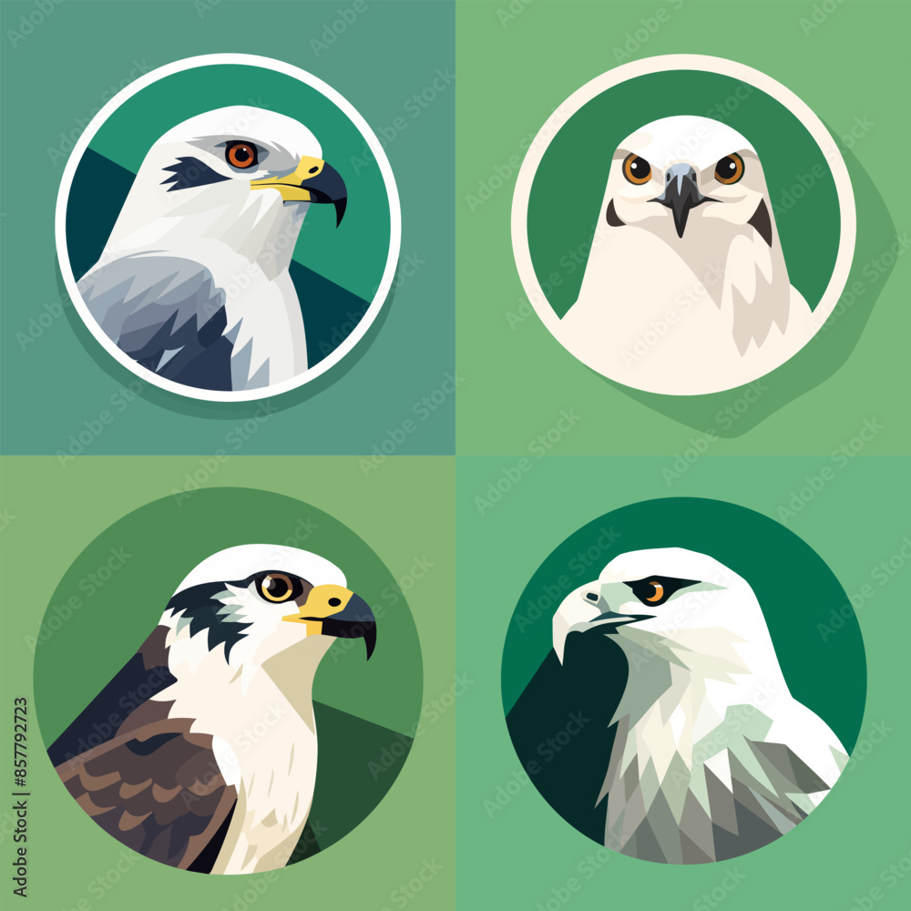 Fototapeta premium Falcon Icon Collection Vector Design Illustration.