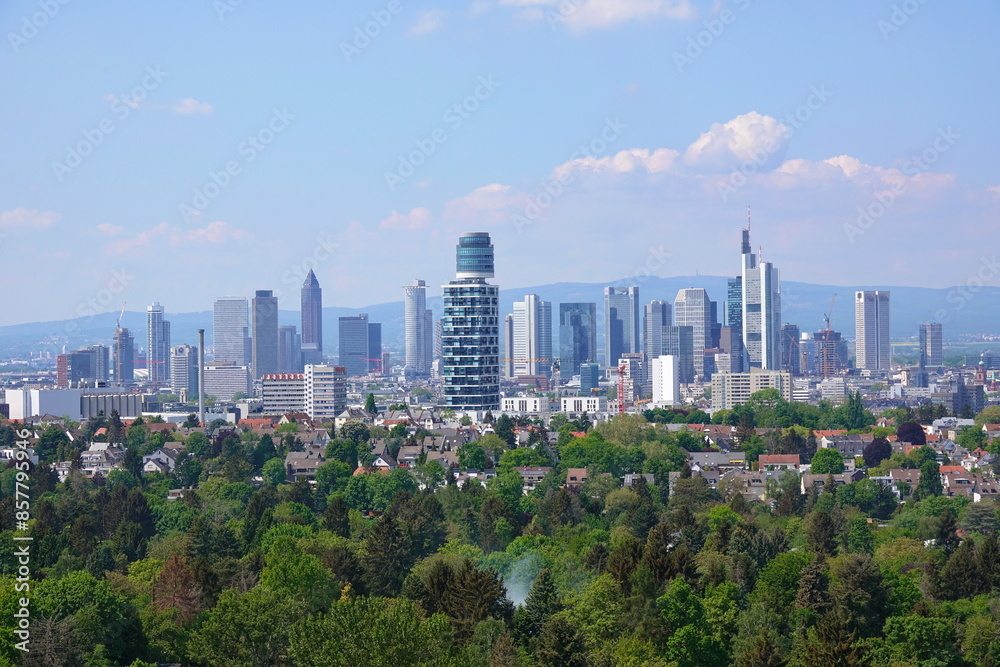Fototapeta premium Blick vom Goetheturm auf Frankfurt