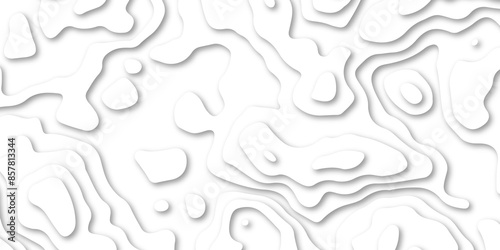 Abstract background with waves. Abstract Papercut and multi layer cutout geometric patten on vector, Abstract soft white background with waves.