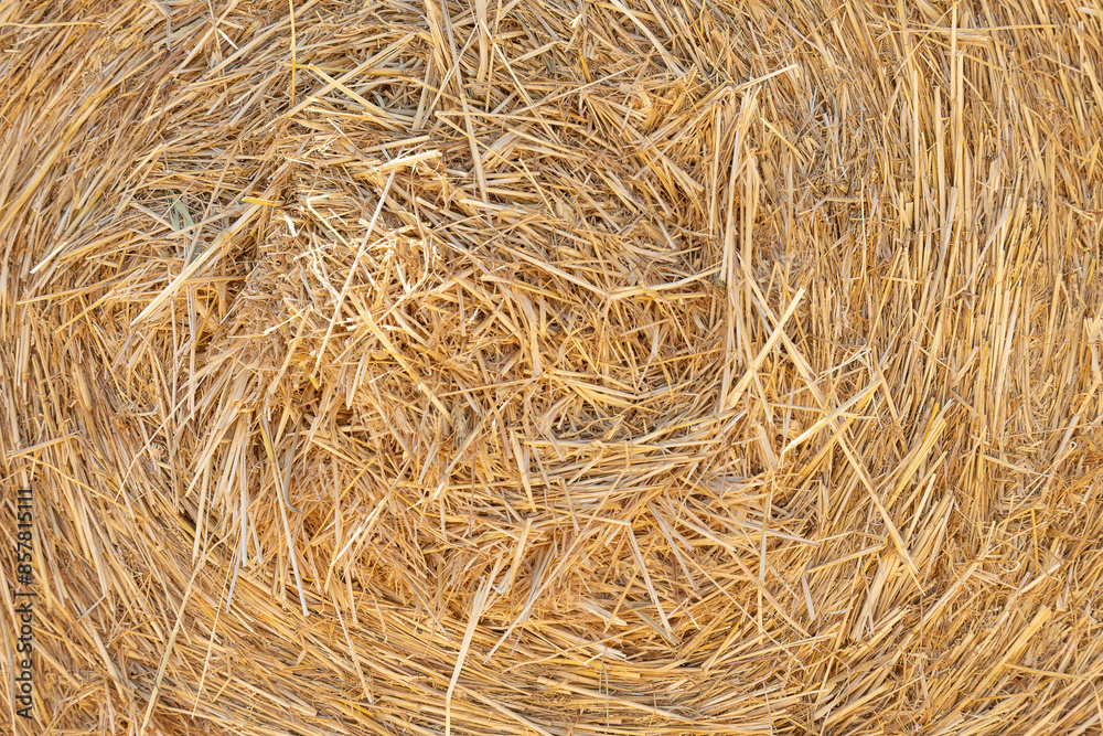 close up hay bale for backgrounds close up hay bale for backgrounds