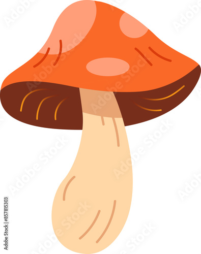 illustration of mushroom