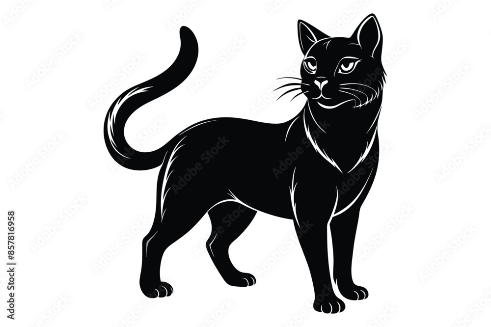 Black and White Cat Vector Silhouette. Black and White Cat Vector Silhouette.