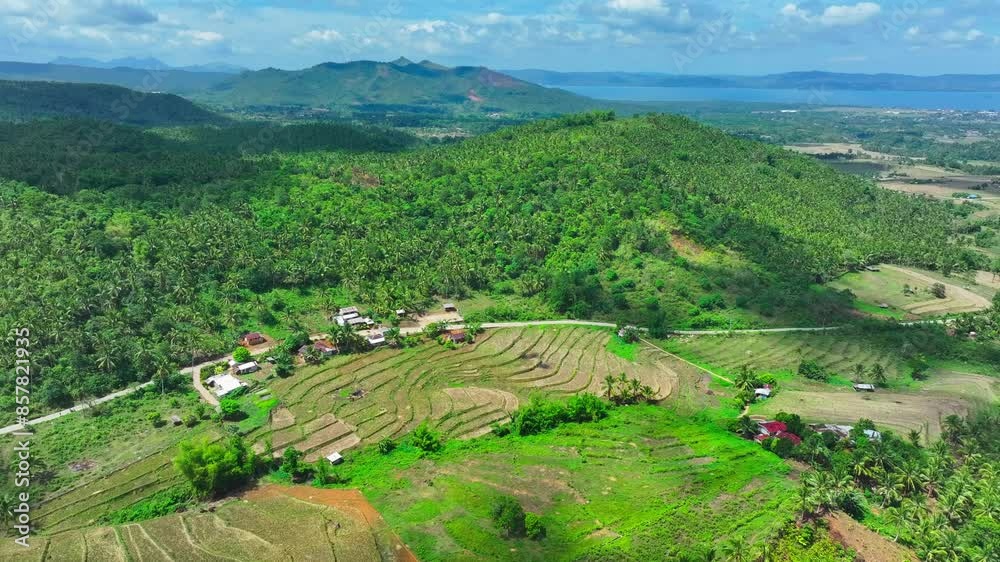 Aerial view of biliran island with coconut Plantation trees during sunny day. Tropical farm fields with sea in Background. Philippines, Asia. Wide shot. Aerial view of biliran island with coconut Plantation trees during sunny day. Tropical farm fields with sea in Background. Philippines, Asia. Wide shot.