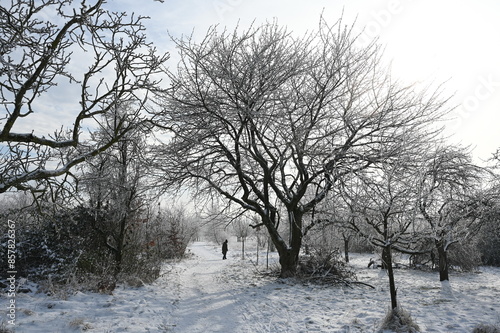 Winter bei Urberach photo