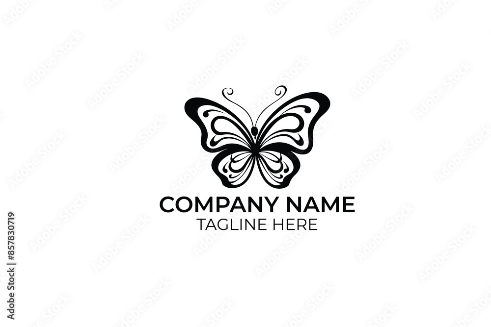 butterfly on a white butterfly on a white