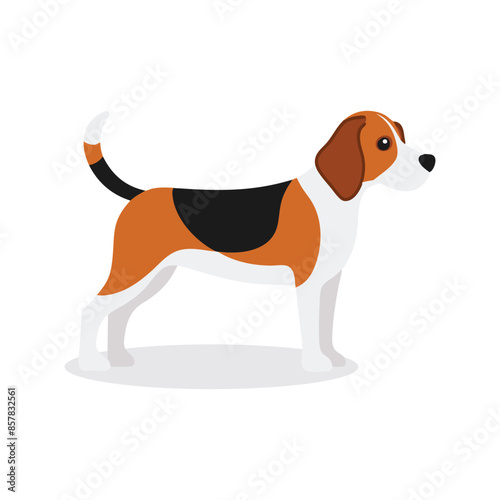 Beagle Animal isolated flat vector illustration on white background