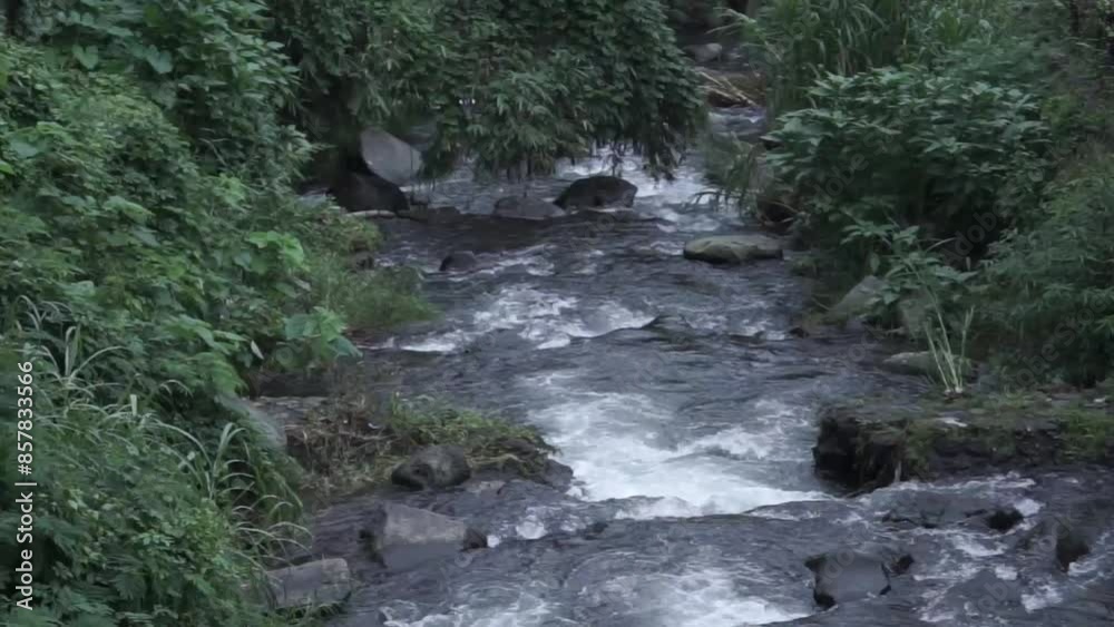 The clear water in the small rocky river flows endlessly The clear water in the small rocky river flows endlessly