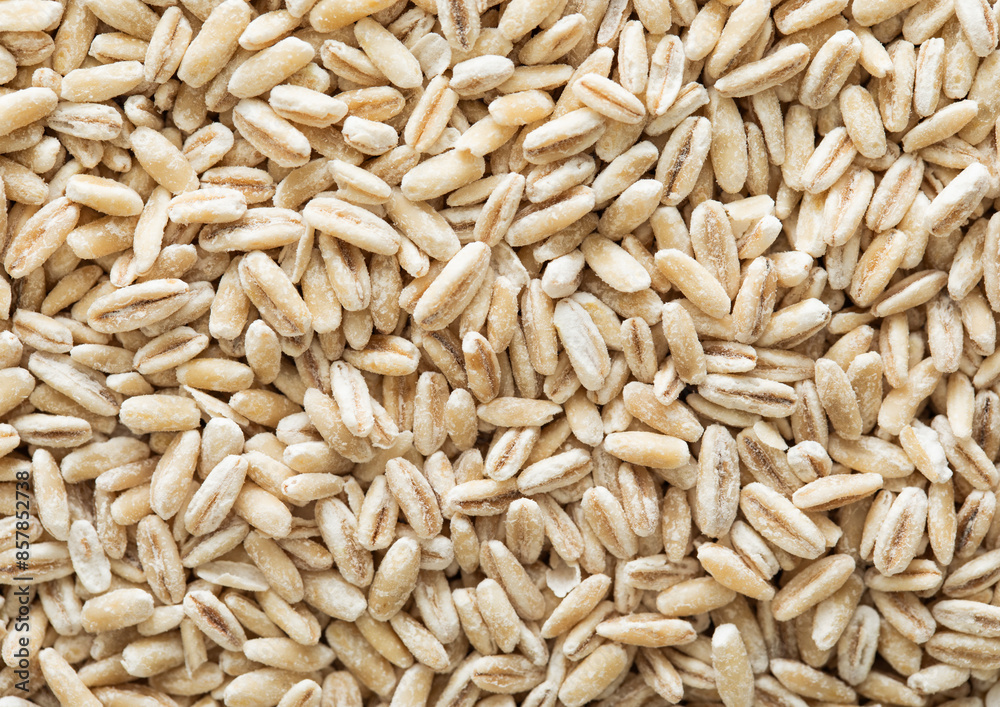 Dry raw organic healthy oat grain seeds textured background.Macro. Dry raw organic healthy oat grain seeds textured background.Macro.
