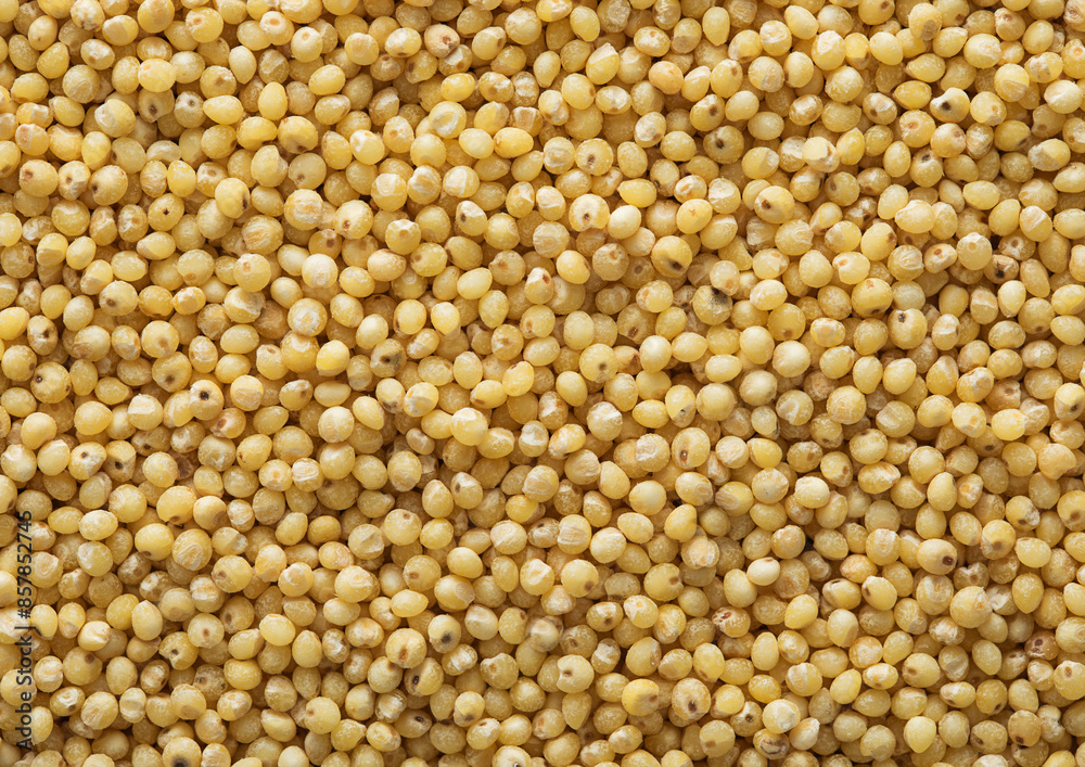 Yellow raw organic healthy millet grain seeds textured background.Macro. Yellow raw organic healthy millet grain seeds textured background.Macro.