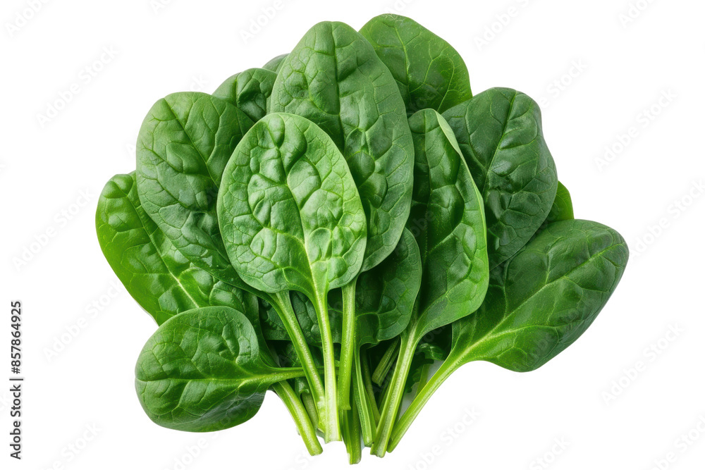 Fresh, vibrant spinach leaves arranged in a cluster, ready to be used in a healthy meal. Fresh, vibrant spinach leaves arranged in a cluster, ready to be used in a healthy meal.