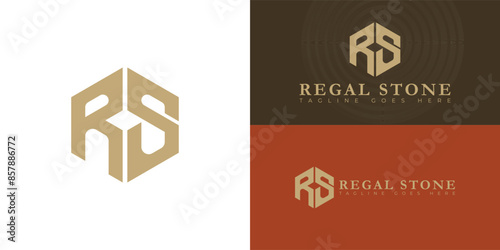 Abstract initial hexagon letters RS or SR logo in gold color isolated on multiple background colors. The logo is suitable for wealth management company logo vector design illustration inspiration
