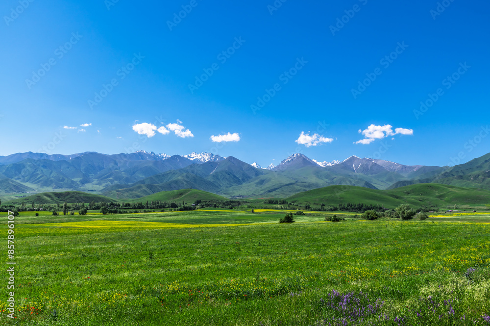 Naklejka premium Blooming green meadows in the mountains. Clouds over the mountain range.