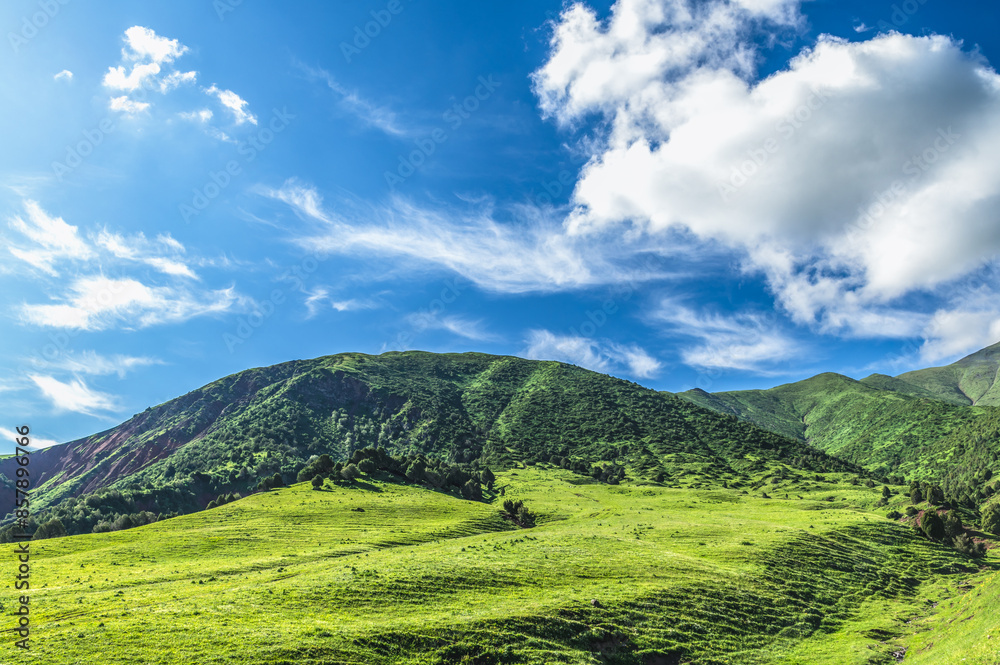 Green meadow against the backdrop of mountains covered with green forest. Blue sky with clouds. Journey into the wild. Green meadow against the backdrop of mountains covered with green forest. Blue sky with clouds. Journey into the wild.