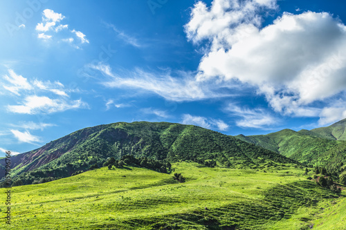 Green meadow against the backdrop of mountains covered with green forest. Blue sky with clouds. Journey into the wild.
