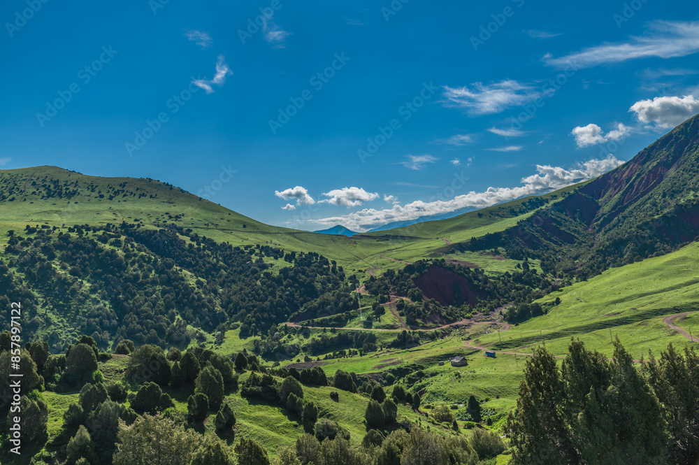 Fototapeta premium Green mountains covered with juniper forest and a mountain valley. Sunny day in the mountains.