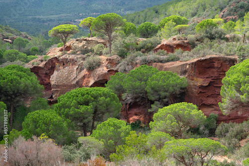 Pine trees and red sandstones formations in the Areny mountain in Mont-Roig, Tarragona, Catalonia, Spain. photo