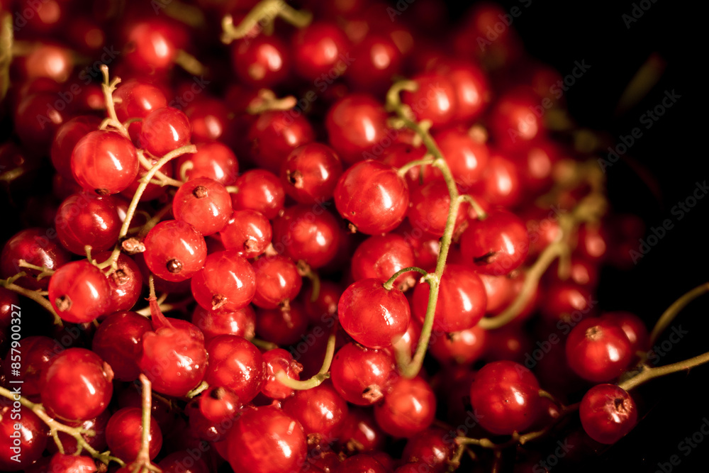 Red currants in a plate on a black background.red currant isolate.Berry concept