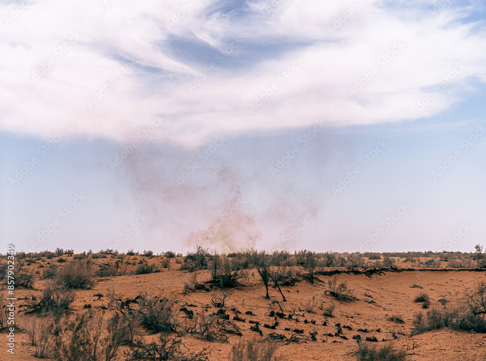 Fototapeta premium A desert landscape with a cloud in the sky. The sky is blue and the clouds are white