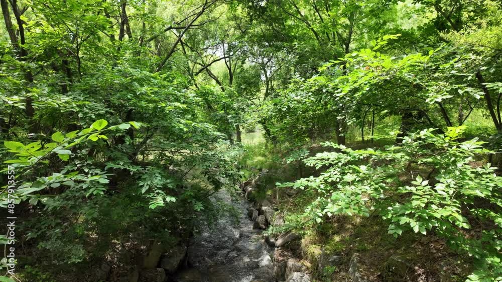 Yeouido Saetgang Ecological Park valley in Seoul, Korea Yeouido Saetgang Ecological Park valley in Seoul, Korea