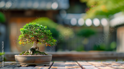 Shaved Tree Bonsai on a wooden table, Shaved Tree Bonsai with green leaves and regular branches, Ai generated Images photo
